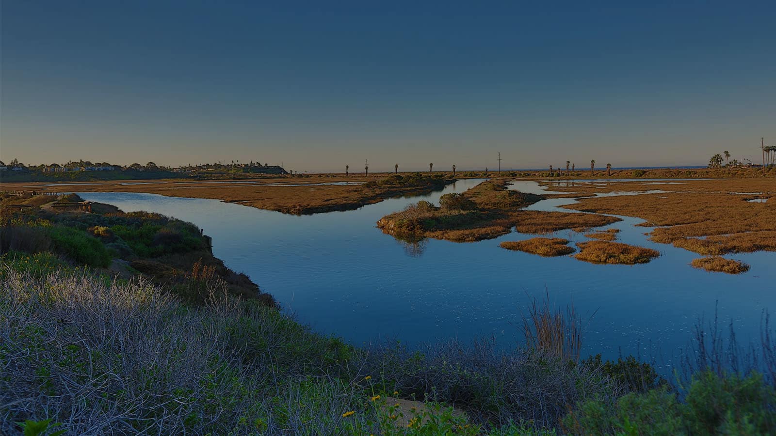 Panoramic view of San Elijo Lagoon. Discover homes for sale opportunities near Cardiff by the Sea