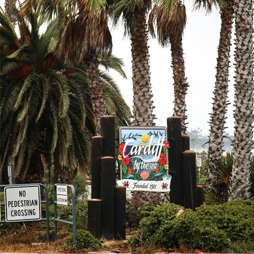 A colorful sign reading "Cardiff" stands in front of a palm tree in Encinitas, CA, capturing a whimsical atmosphere.