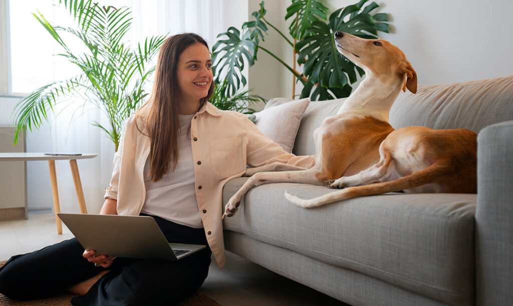 Pet Owners and the San Diego Rental Market