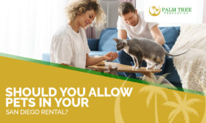 Should You Allow Pets in Your San Diego Rental