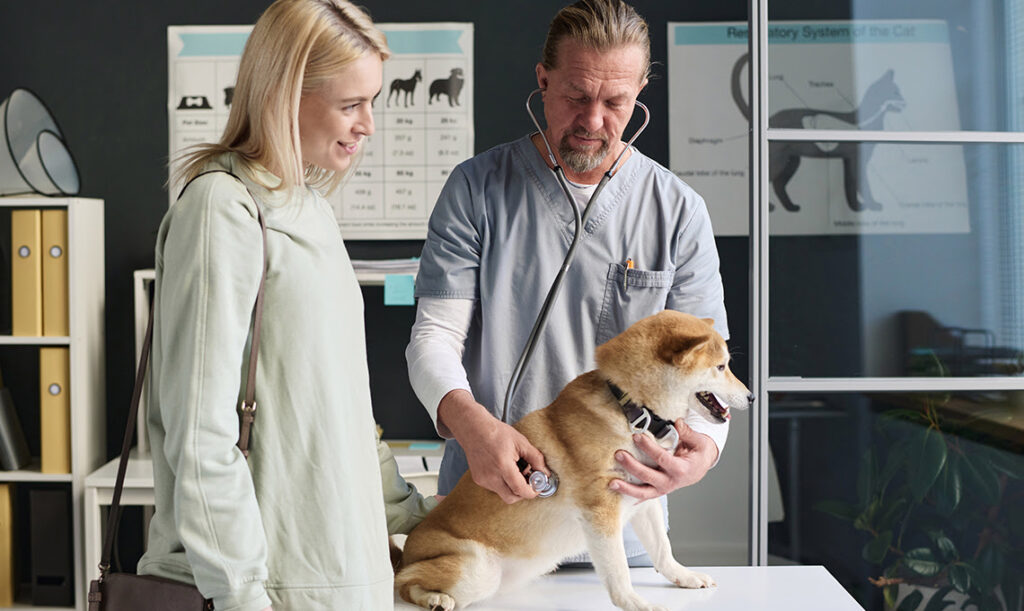 Tenants Who Have Pets