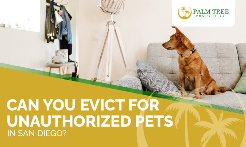 Can You Evict for Unauthorized Pets in San Diego