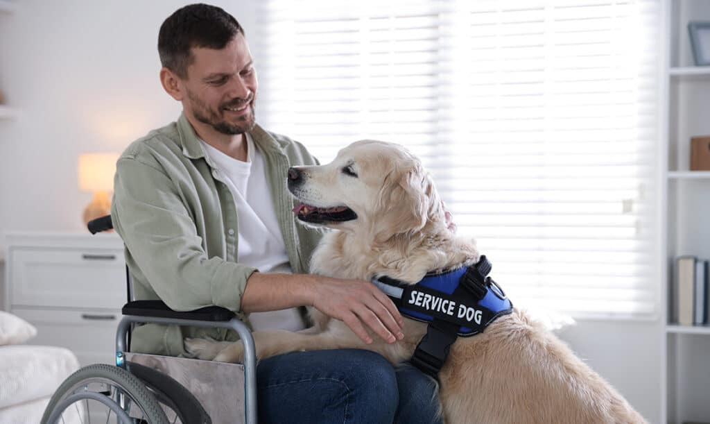 How Landlords Must Accommodate Service Animals