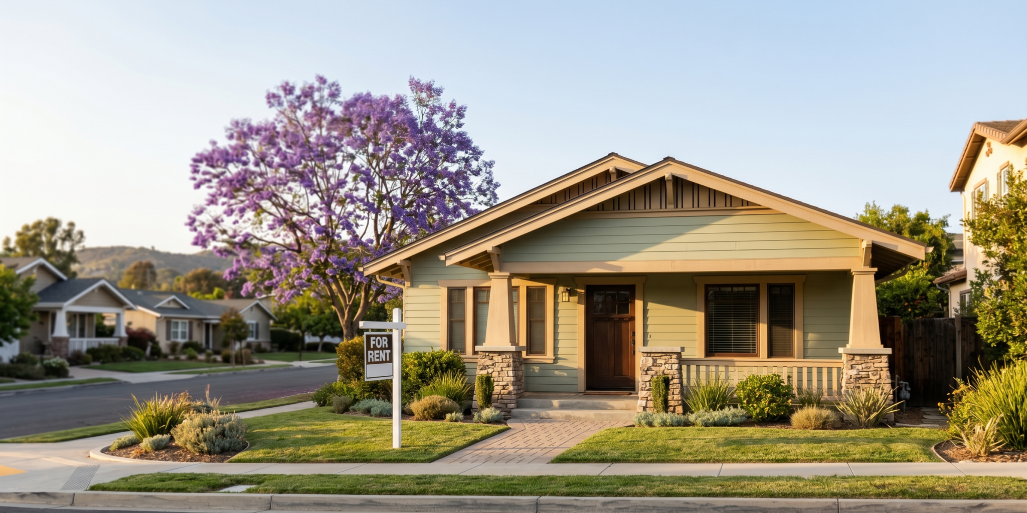Next steps for San Diego property owners — Palm Tree Properties