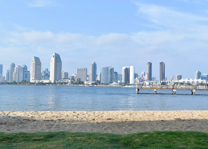 City scape from San Diego marina. Discover homes for sale opportunities with the best real estate agents in Downtown San Diego